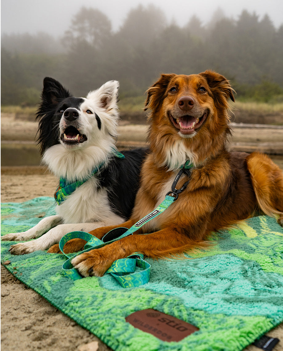 Stio x Wilderdog Sherpa Blanket - LG - Image 6