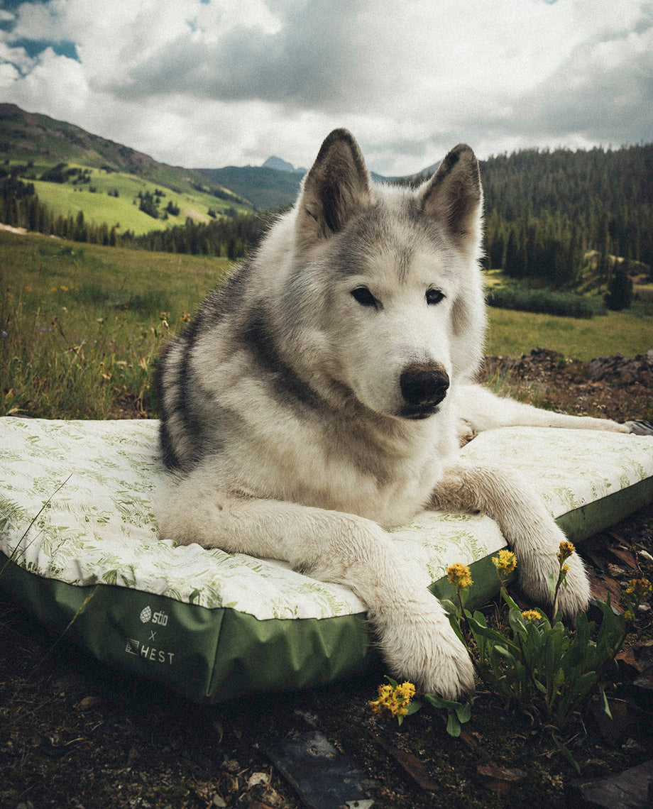 Stio x HEST Dog Bed - LG - Image 8